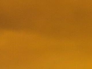 SolaeuftderbrauneHase