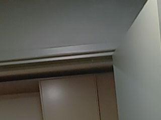 The OnlyMustangfeels