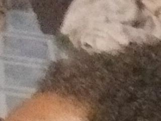 Freakycocky