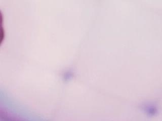 LA DIVAZAXX