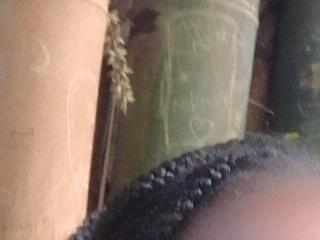 nanaswee