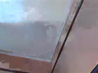 quin